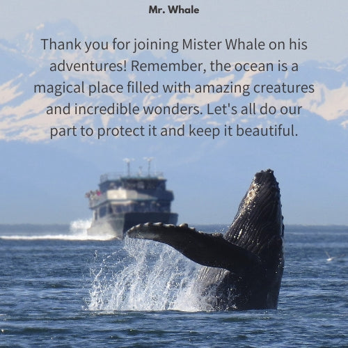 Mr. Whale