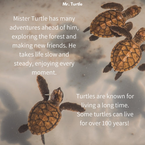 Mr. Turtle