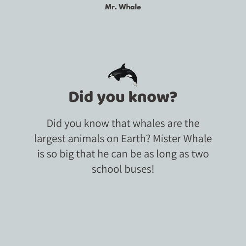 Mr. Whale
