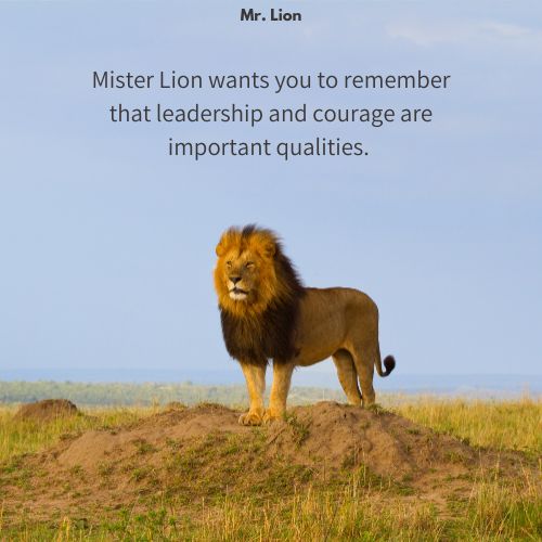 Mr. Lion