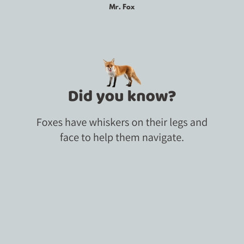 Mr. Fox