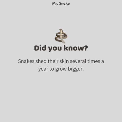 Mr. Snake