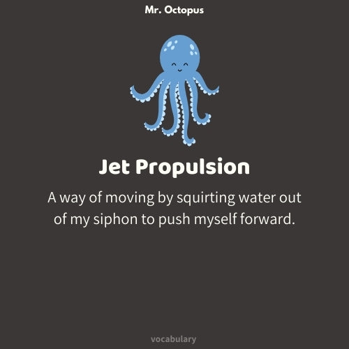 Mr. Octupus