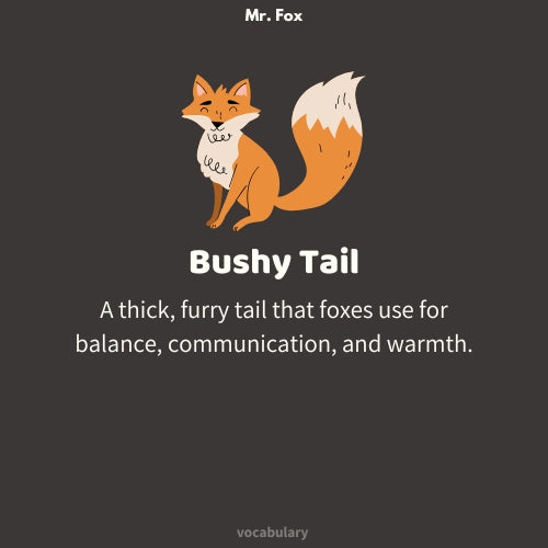 Mr. Fox