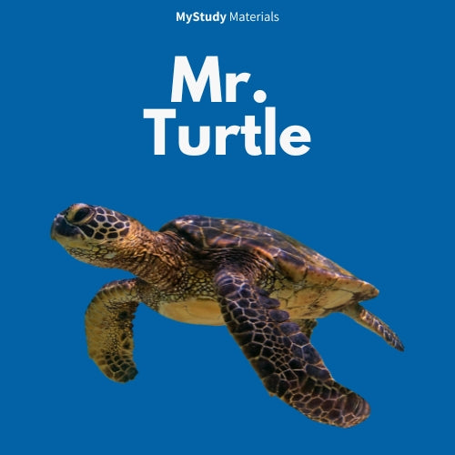 Mr. Turtle