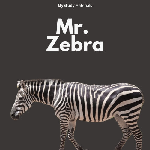 Mr. Zebra
