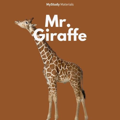 Mr. Giraffe
