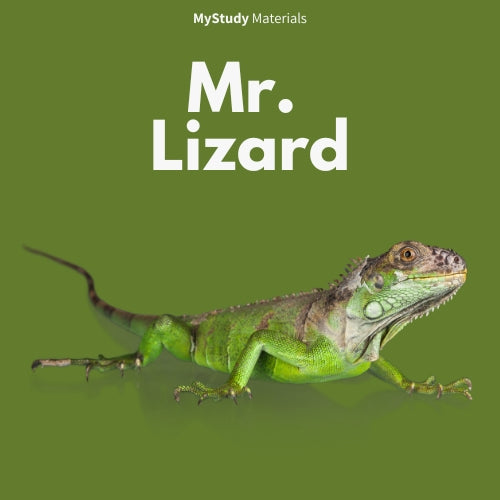Mr. Lizard