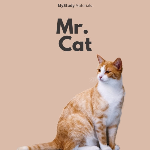 Mr. Cat