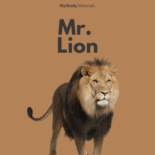 Mr. Lion