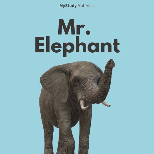Mr. Elephant