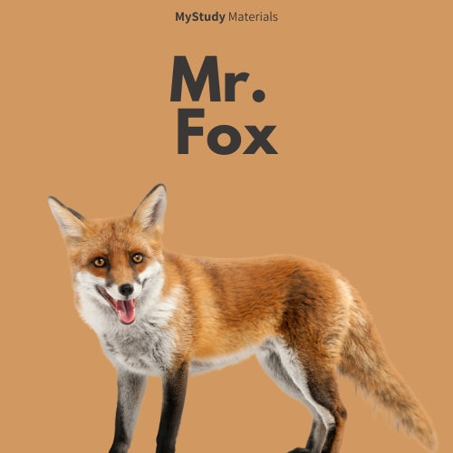 Mr. Fox