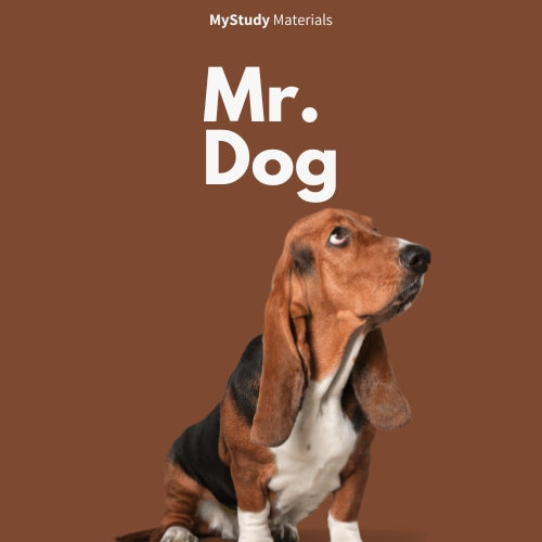 Mr. Dog