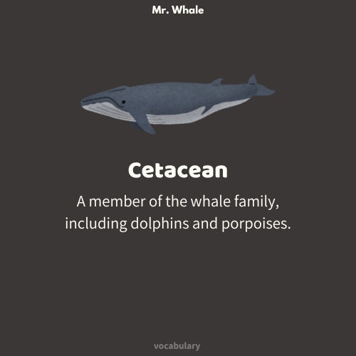 Mr. Whale
