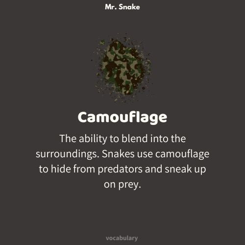 Mr. Snake