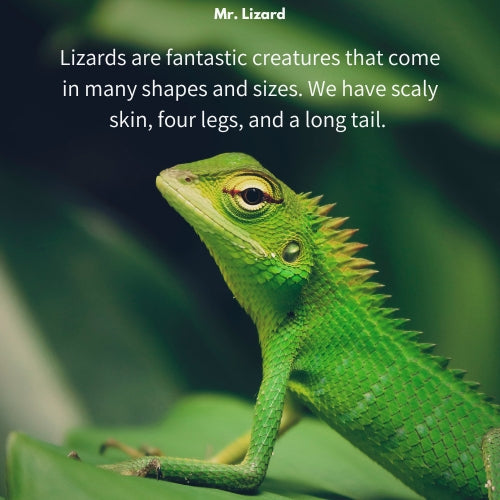 Mr. Lizard