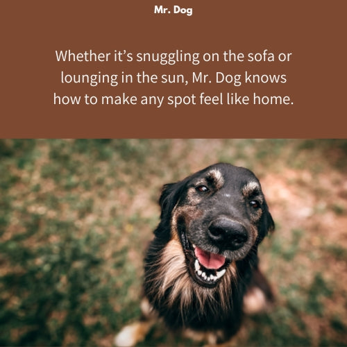 Mr. Dog