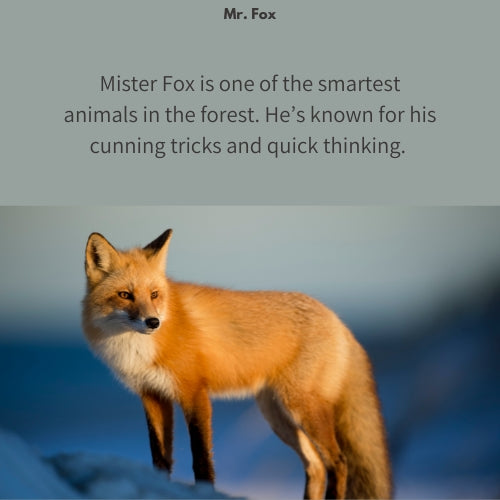 Mr. Fox