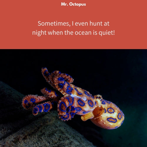 Mr. Octupus