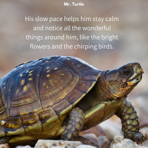 Mr. Turtle