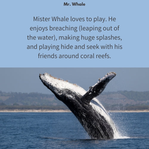 Mr. Whale