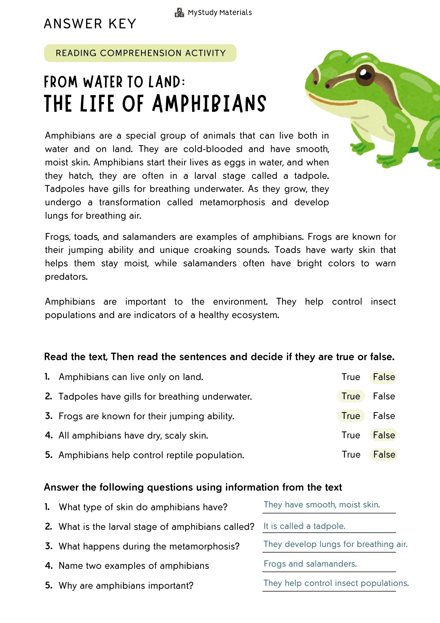The life of amphibians