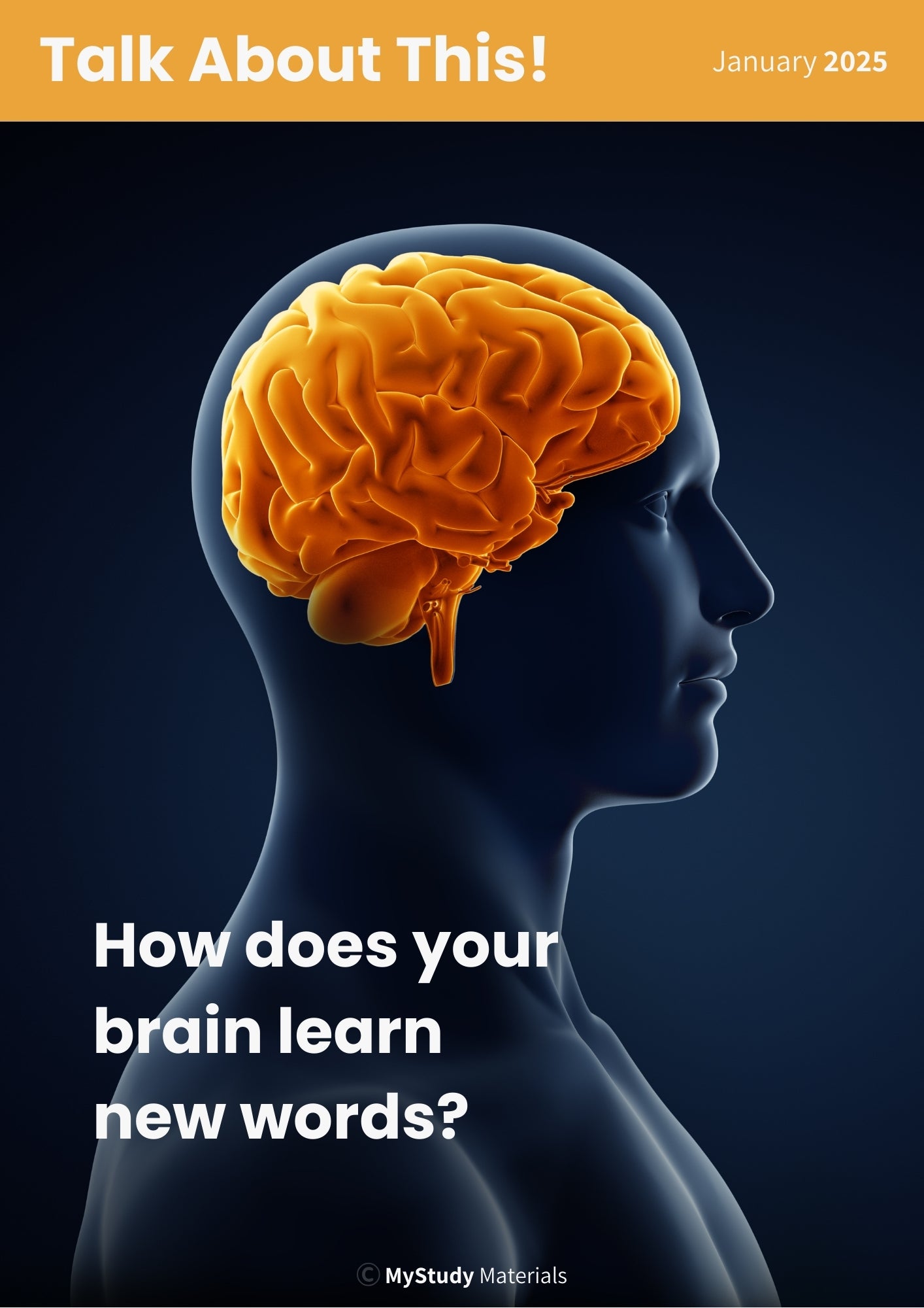 How Does Your Brain Learn New Words?